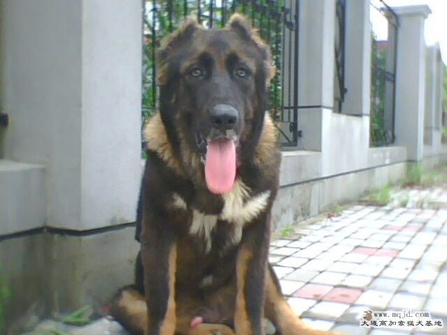 IMG0122A.jpg