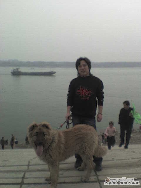ȥҺСڳ