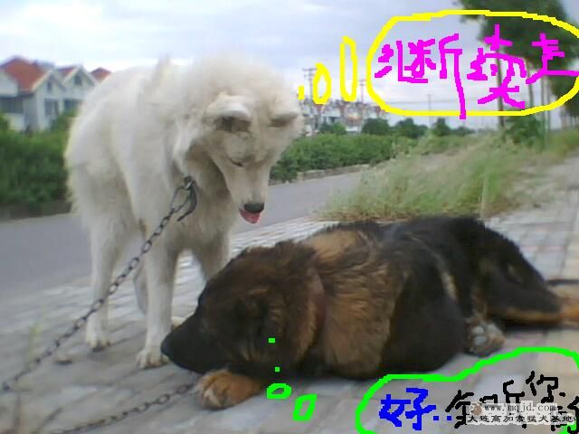 IMG0428A.jpg