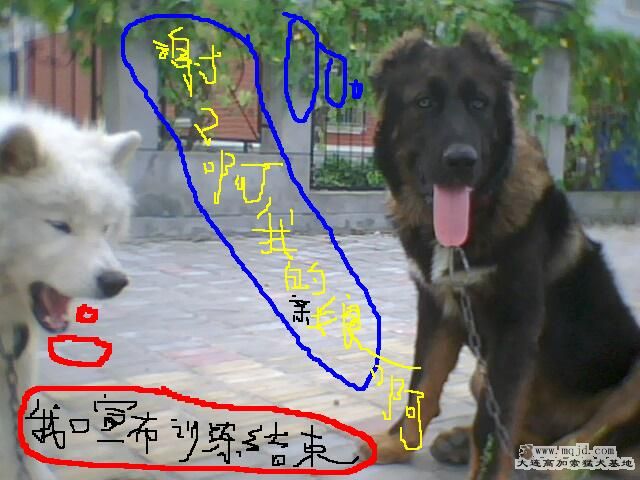 IMG0420A.jpg