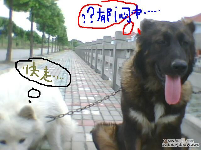 IMG0296A.jpg