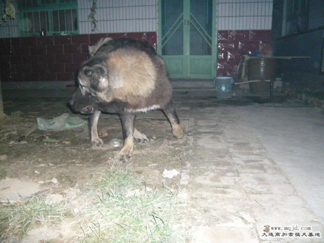P1000256.JPG
