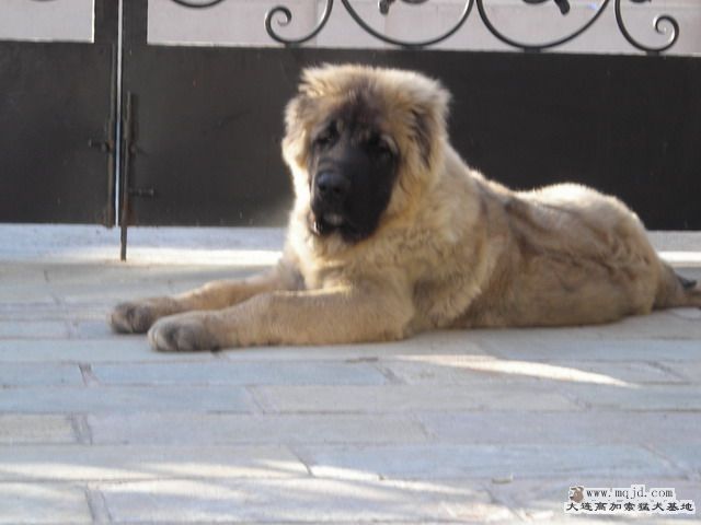 DSCN32.jpg