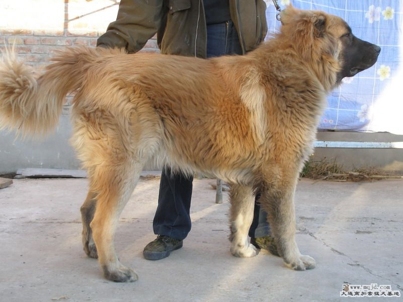 P1014958_СС.JPG