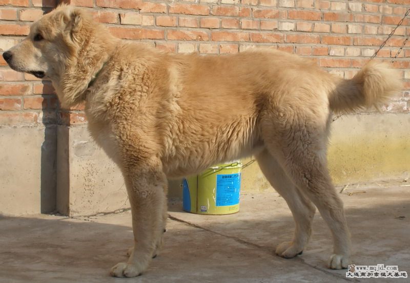 P1014962_СС.JPG