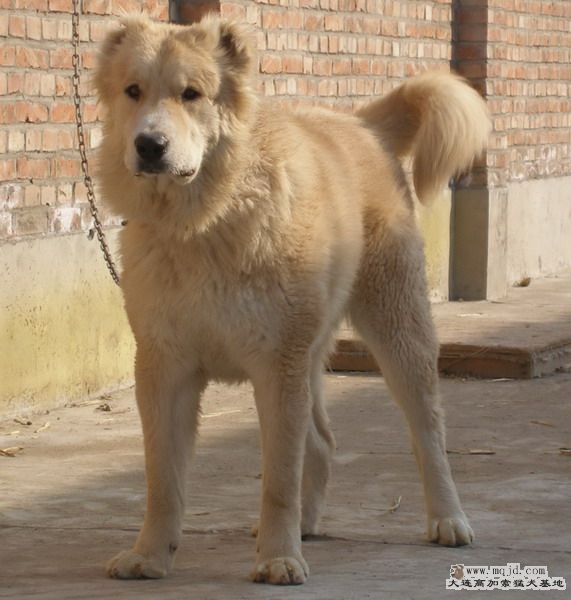 P1014959_СС.jpg