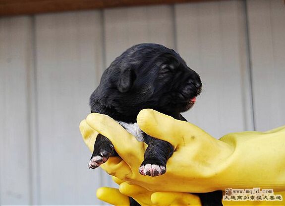 nEO_IMG_DSC_0069.jpg