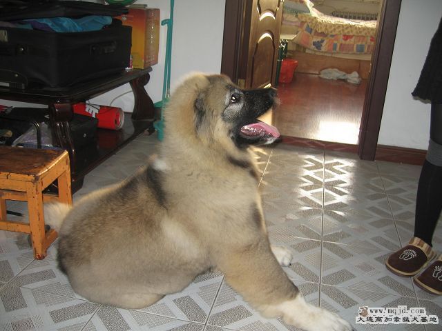 Ƭ 020.jpg