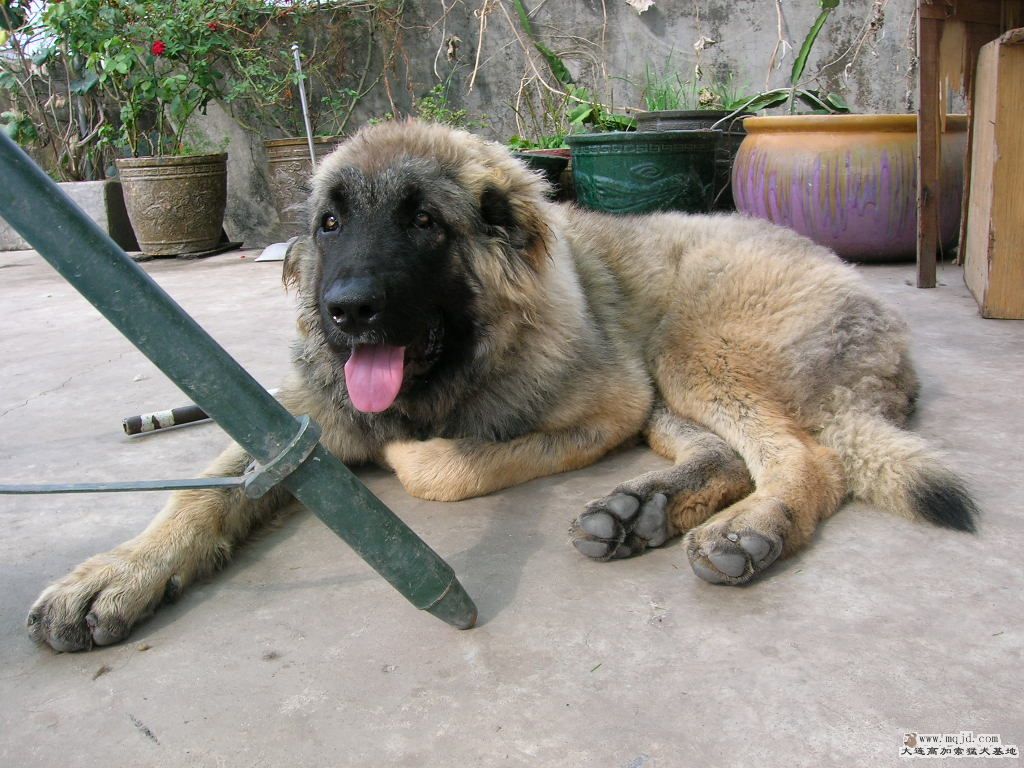 DSCN7477.JPG