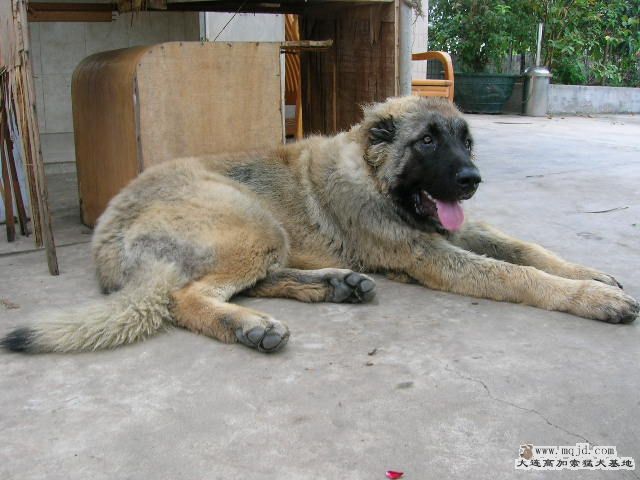 DSCN7472.JPG