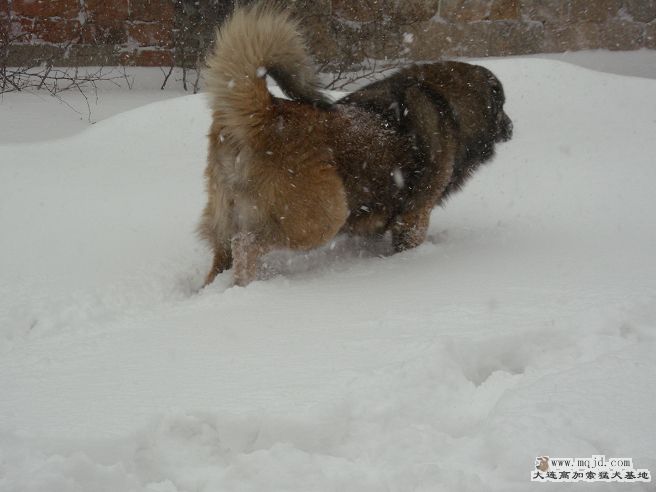 DSCN1259.JPG