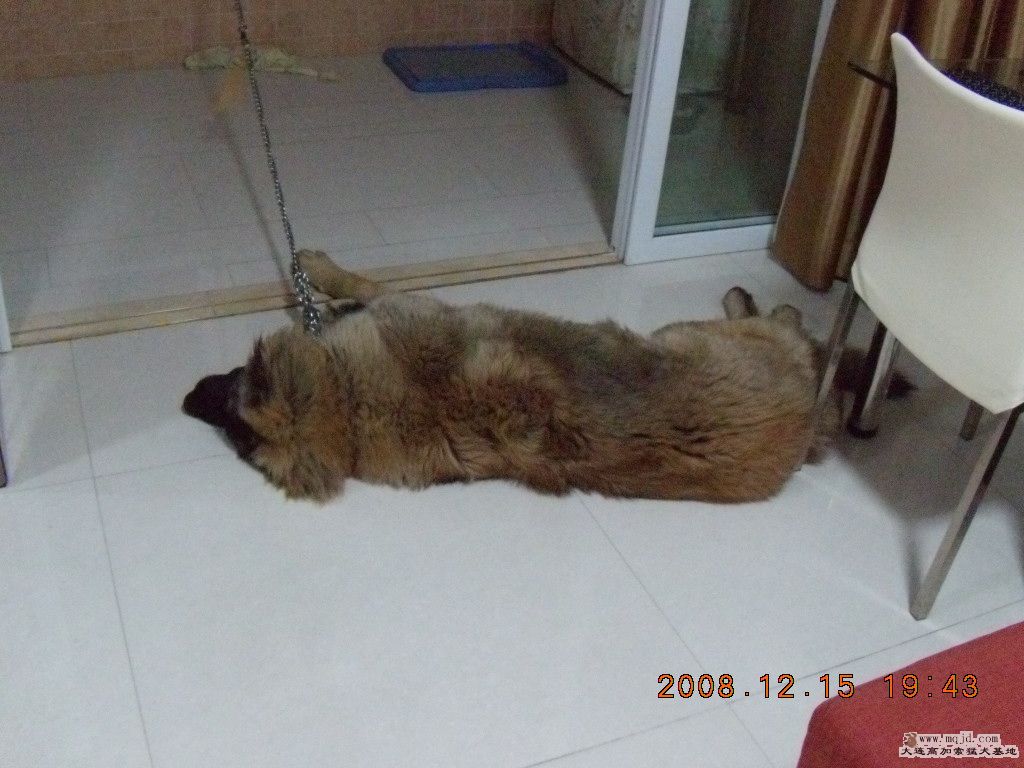 DSCN0029.jpg