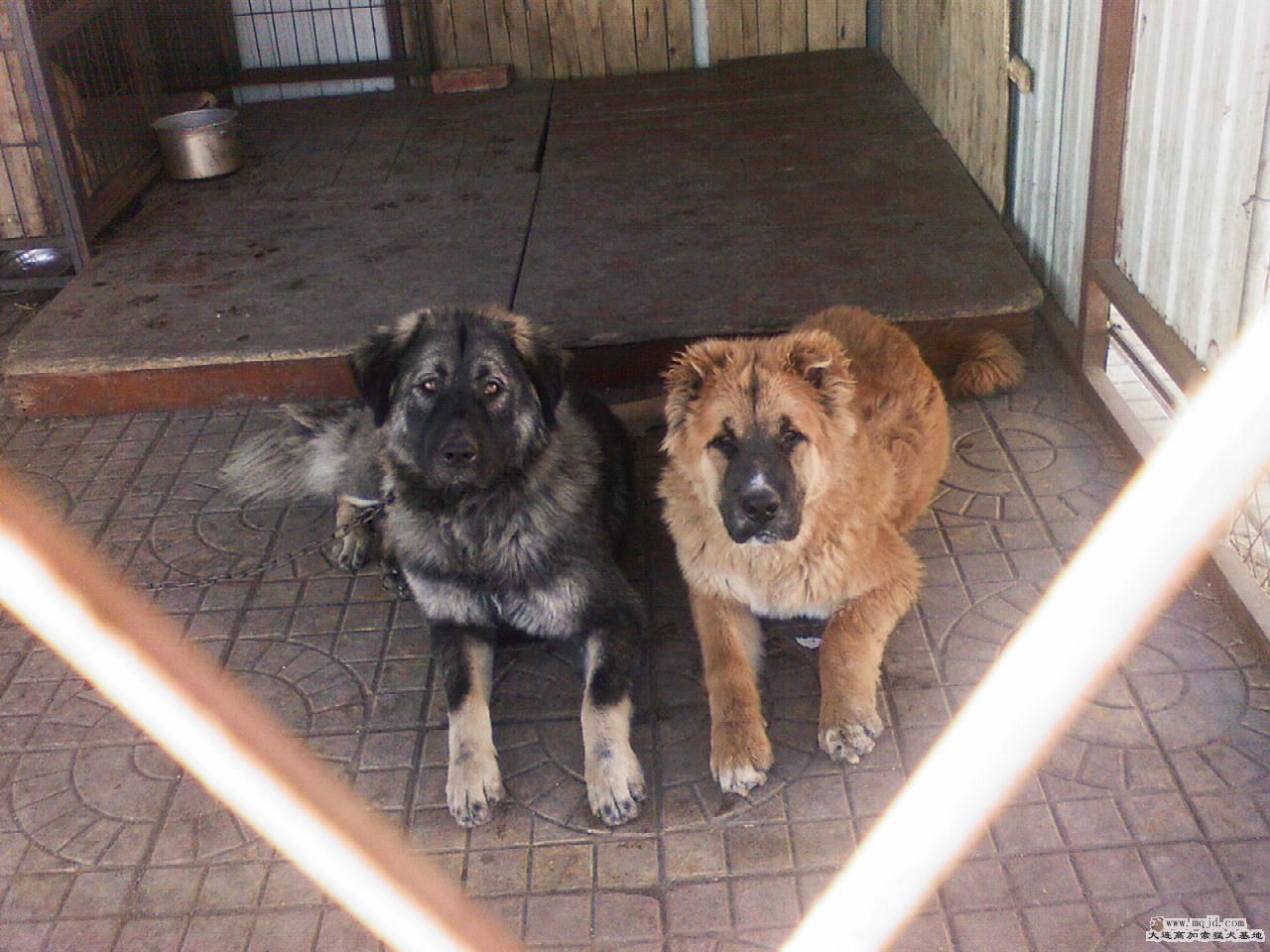 20081127124254.jpg