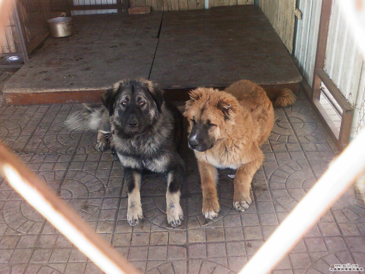 20081127124249.jpg