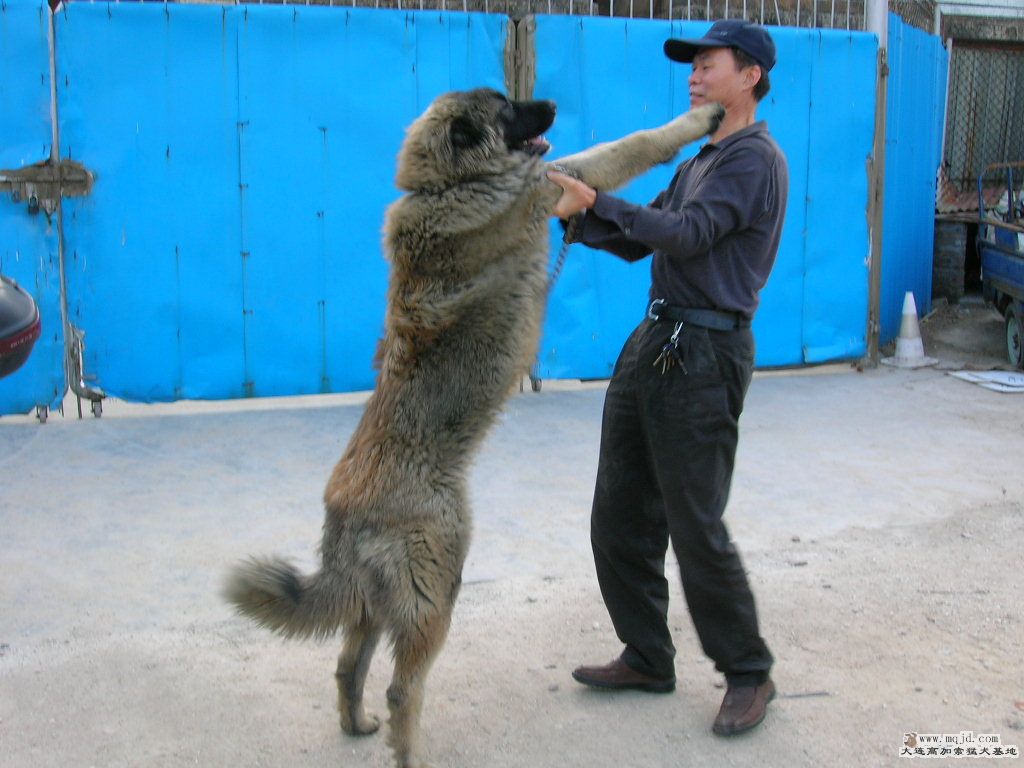 DSCN7644.JPG