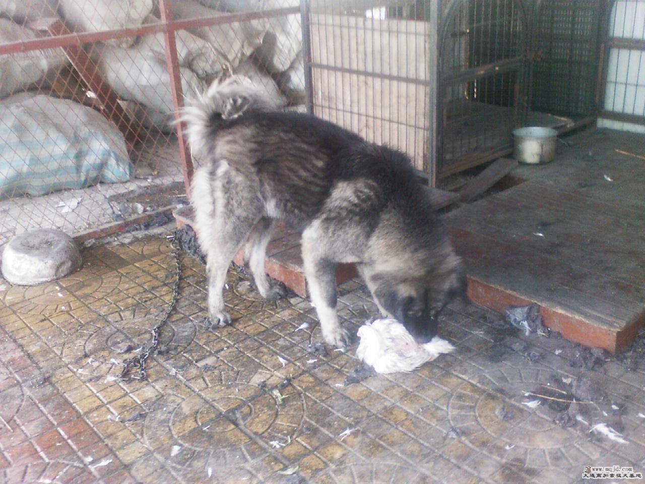 20090107152316.jpg