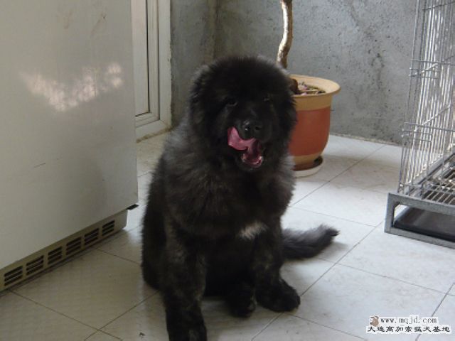 P1000799.JPG