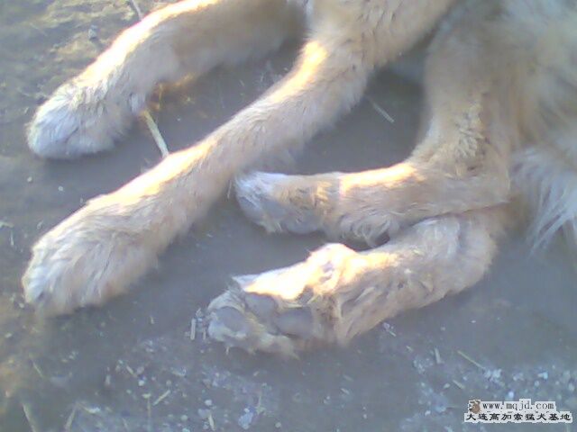 IMG0031A.jpg