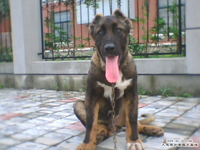 IMG0076A.jpg