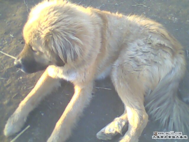 IMG0028A.jpg