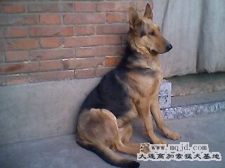 IMG0299A.jpg