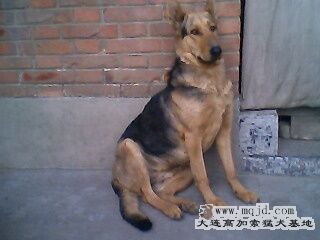 IMG0297A.jpg