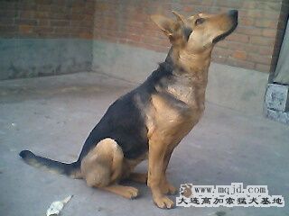 IMG0301A.jpg