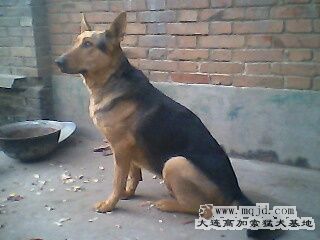 IMG0304A.jpg