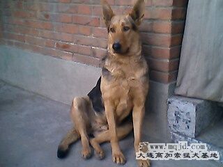 IMG0298A.jpg