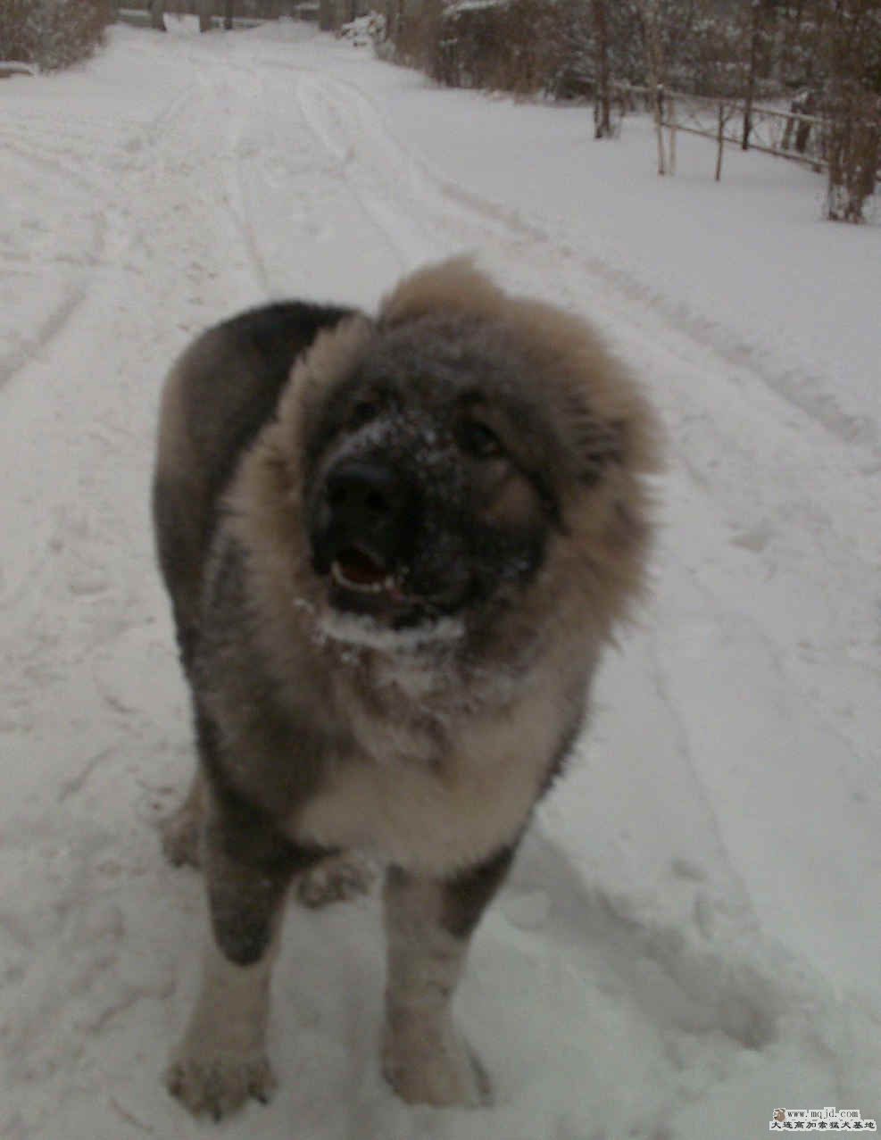 20090122041.jpg