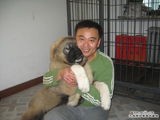 Ƭ 029.jpg