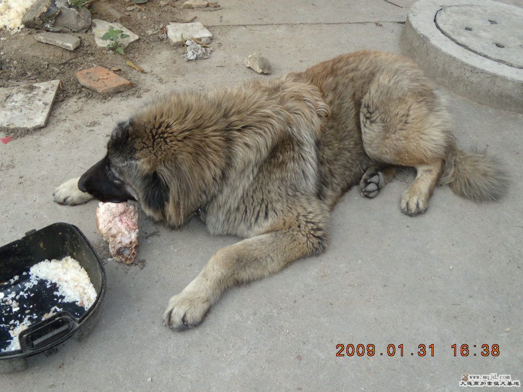 Ƭ 098.jpg