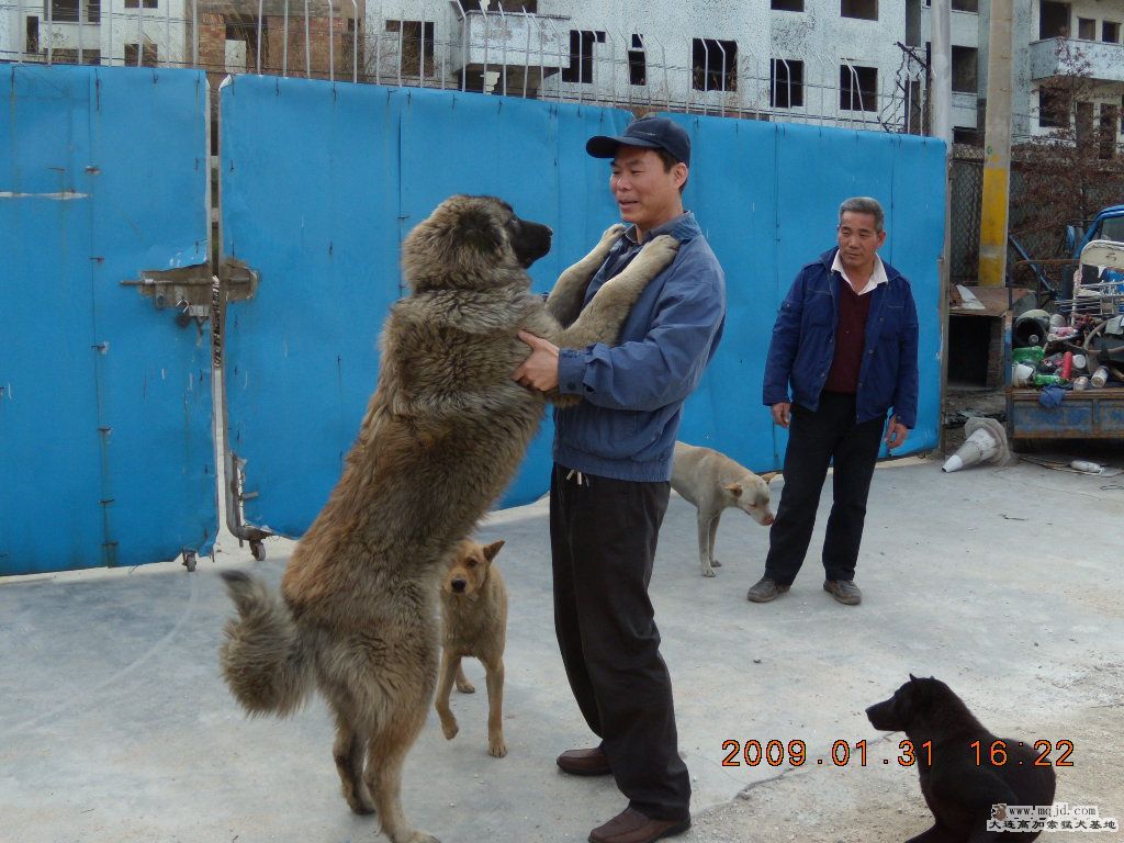 Ƭ 052.jpg