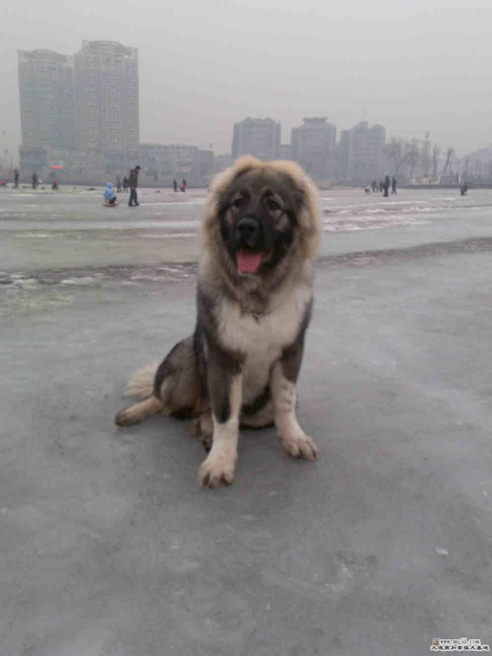 20090201212.jpg