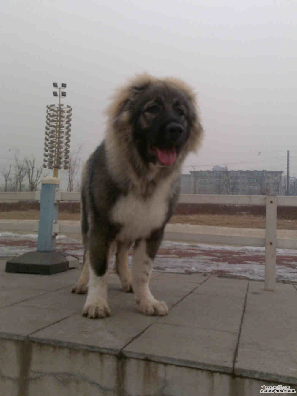20090201138.jpg