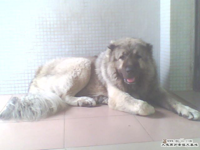 IMG0285A.jpg