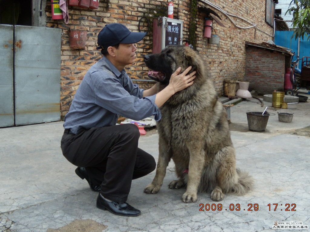DSCN0927.jpg