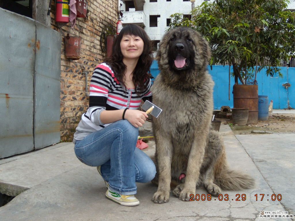 DSCN0886.jpg