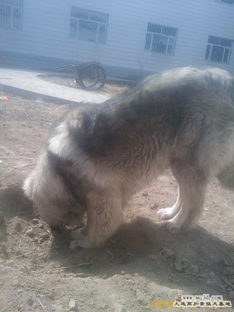 0_IMAGE_155.jpg