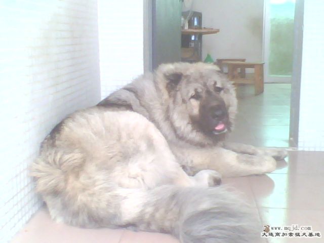 IMG0280A.jpg