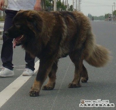 ţ 14 ˹֮