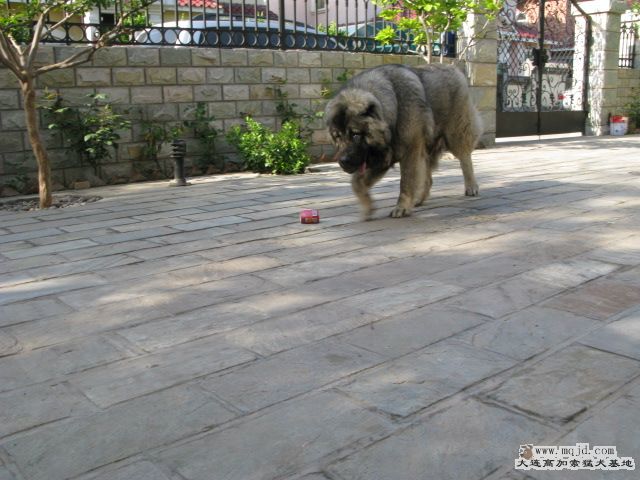 IMG_1814.JPG