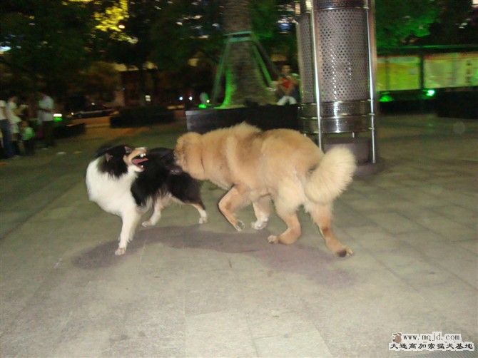 http_imgload[21].jpg