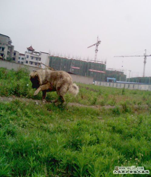 02.jpg