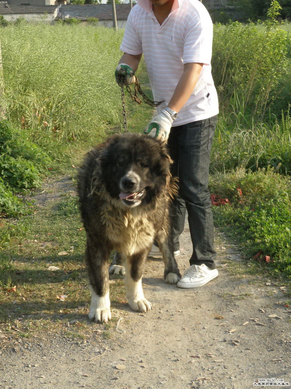 P5070002.jpg
