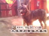 IMG0051A.jpg