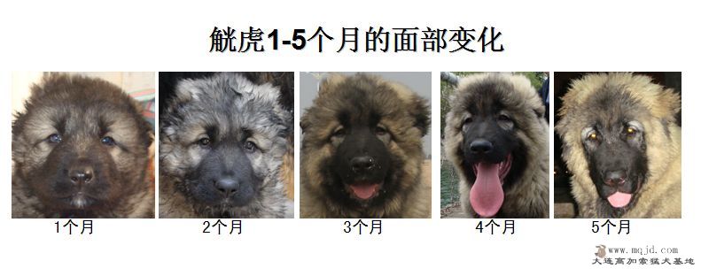 1-5.jpg