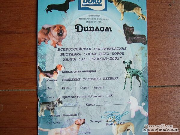 DSCF0138.jpg