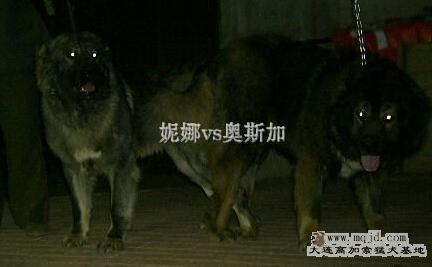 乷.jpg