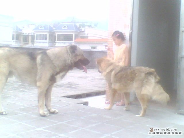 IMG0560A.jpg